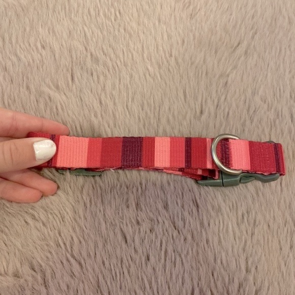 Boots & Barkley mauve pink plum fuchsia purple striped adjustable dog collar​ - Picture 2 of 3